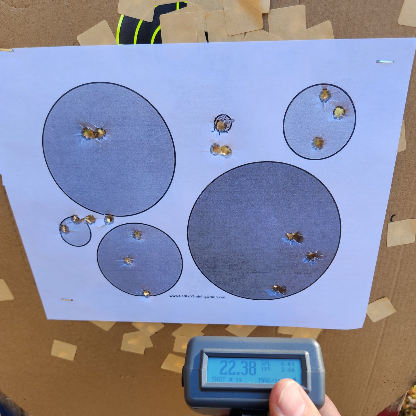 Red Fox Training Group Gnat's Ass Target