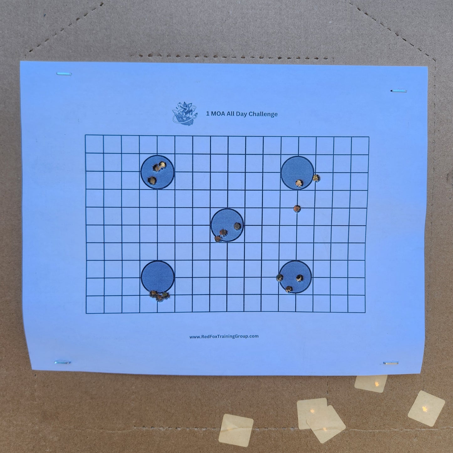 Red Fox Training Group 1 MOA All Day Challenge Target